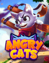 Angry cats