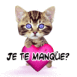 Chaton "Je te manque"