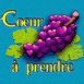 Grappe de "Coeur  prendre"