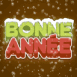 "Bonne anne" enneige