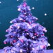 Sapin de Nol enneig