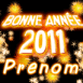 "Bonne anne 2011"