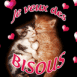 Deux chatons "Je veux des bisous"