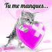 Chaton triste "Tu me manques"