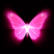 Papillon non rose et aura