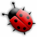 Coccinelle