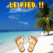 Plage paradisiaque "Le pied"