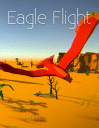 Eagle flight