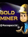 Goldminer